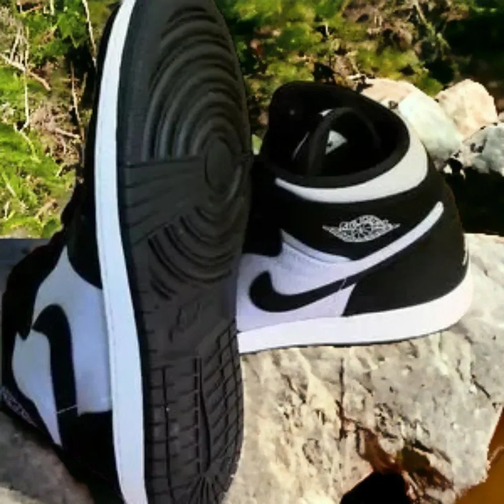 Air Jordan Retro 1 High GS 1 